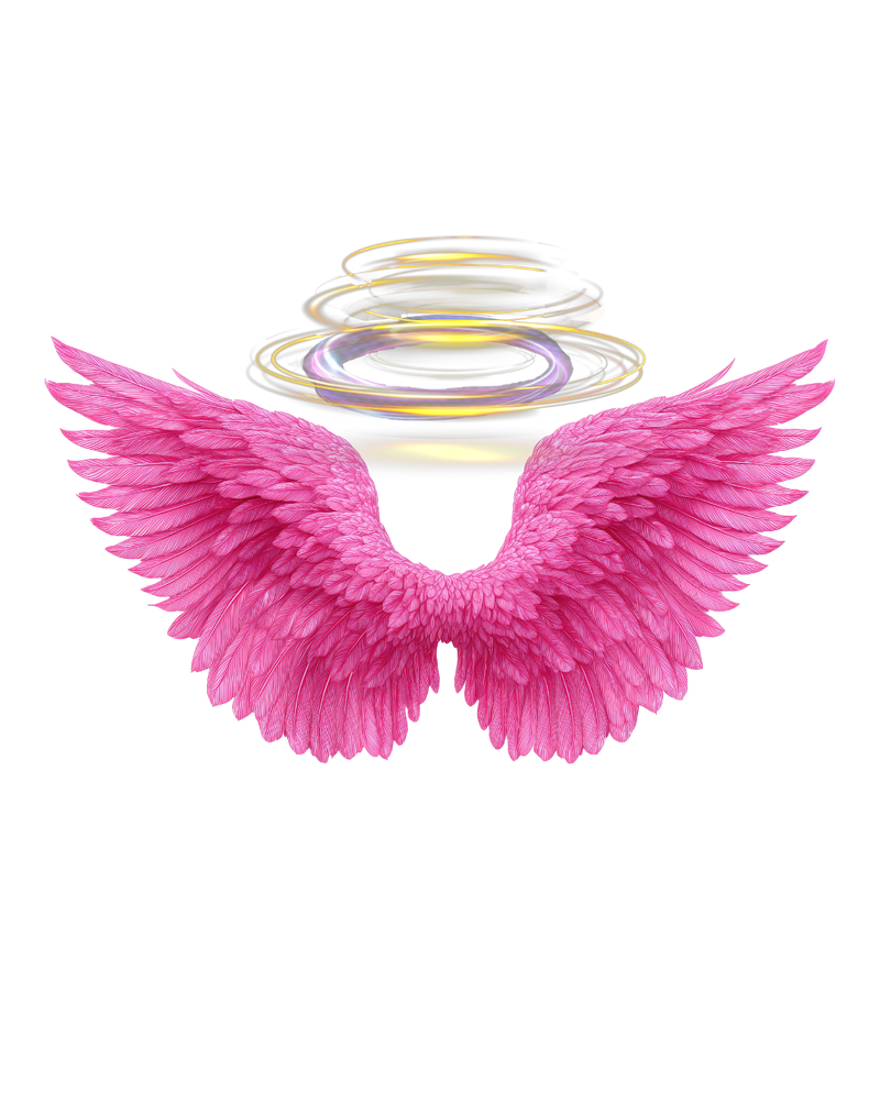 Angel wings decoration